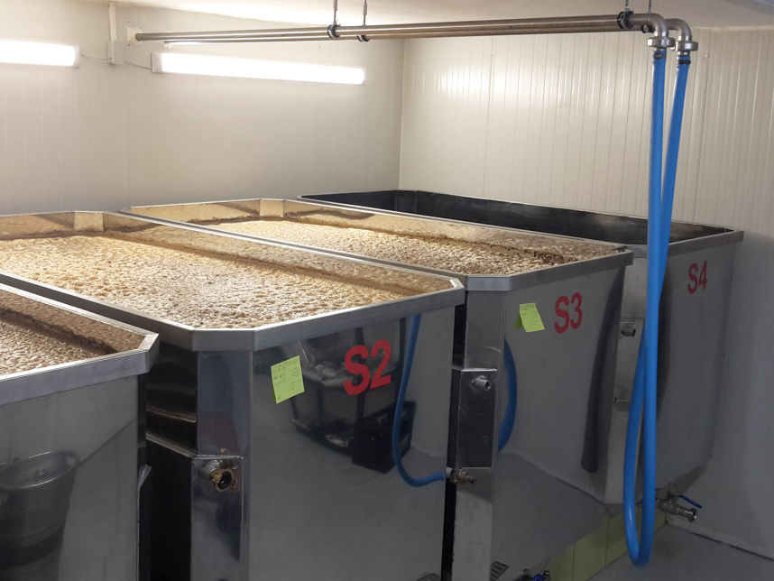 Minipivovar Skřečoňský žabák